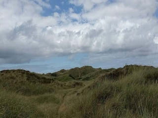 Ferienhaus Blokhus Außenaufnahme 9