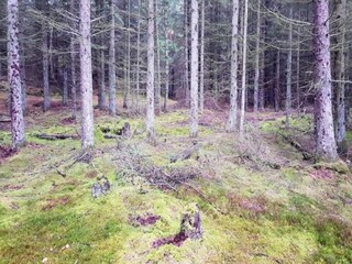 Holiday house Blokhus Outdoor Recording 16