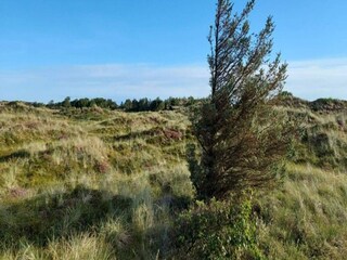 Vakantiehuis Blokhus Buitenaudio-opname 12