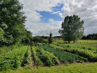 Casa per le vacanze Hundslund  8