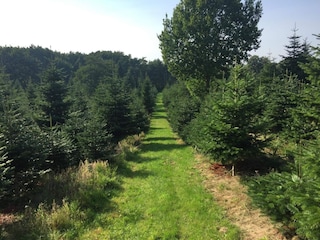 Vakantiehuis Hundslund  29