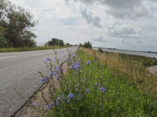 Casa per le vacanze Hundslund  11