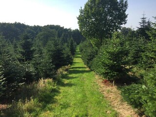 Casa per le vacanze Hundslund  28