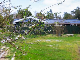 Ferienhaus Jerup  20