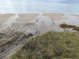 Ferienhaus Lønstrup  14