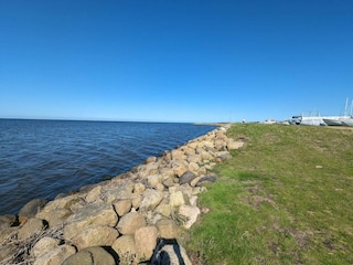 Ferienhaus Bork Havn  36