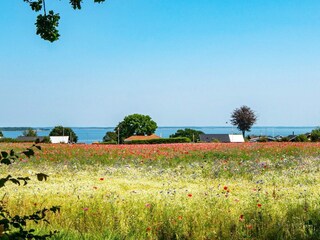 Vakantiehuis Hejlsminde  16