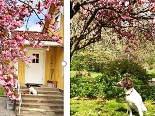 Casa de vacaciones Karlskrona Grabación al aire libre 12