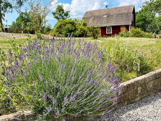 Casa de vacaciones Karlskrona Grabación al aire libre 8