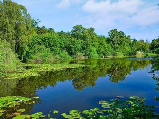Casa de vacaciones Vejby Strand  30