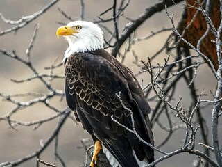 Maison de vacances Blixtorp  7