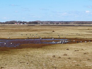 Casa per le vacanze Blixtorp  17