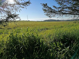 Casa per le vacanze Løkken  6