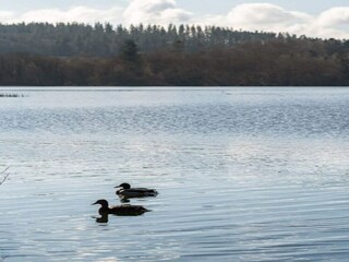 Apartamento Egense Grabación al aire libre 28