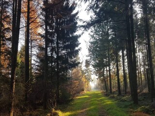 Vakantiehuis Toftlund  3