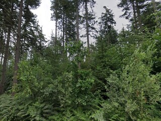 Vakantiehuis Toftlund  28