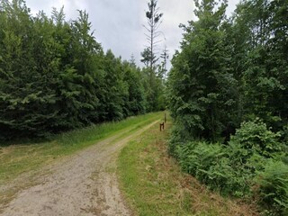 Vakantiehuis Toftlund  12