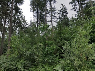 Ferienhaus Toftlund  30