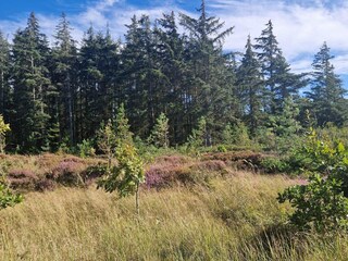 Casa de vacaciones Rødhus  16