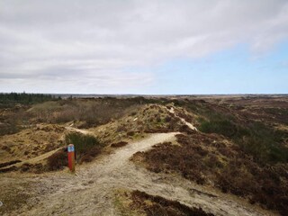 Vakantiehuis Rødhus  36