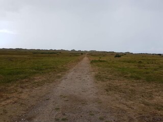 Casa de vacaciones Rødhus  10