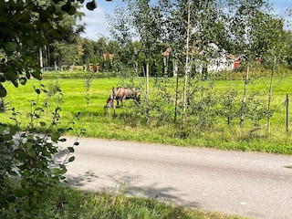 Maison de vacances Gardsjö  24