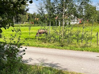 Vakantiehuis Gardsjö  20