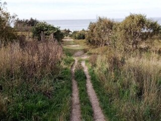 Vakantiehuis Udsholt Strand Buitenaudio-opname 5