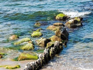Vakantiehuis Udsholt Strand  18