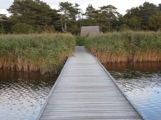 Vakantiehuis Vig  14