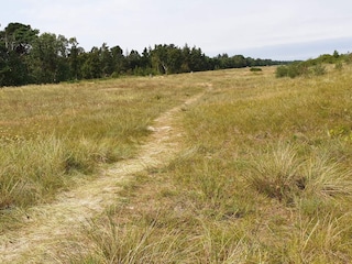 Ferienhaus Vaeggerløse  24