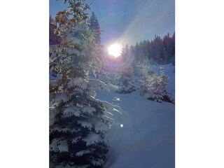 Appartamento per vacanze Neustift im Stubaital Registrazione all'aperto 5