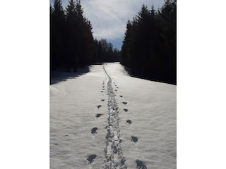 Appartement de vacances Neustift im Stubaital Enregistrement extérieur 7