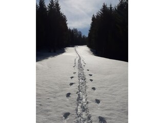 Vakantieappartement Neustift im Stubaital Buitenaudio-opname 18
