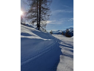 Appartement de vacances Neustift im Stubaital Enregistrement extérieur 6