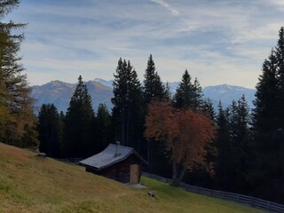 Vakantieappartement Neustift im Stubaital Omgeving 32