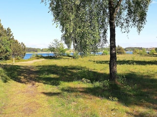 Ferienhaus Virksund  14