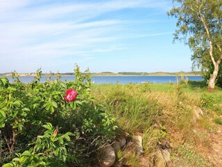 Casa per le vacanze Virksund  36