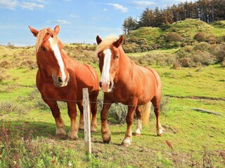 Holiday house Nørlev Strand  18