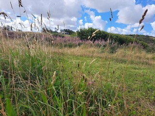 Casa de vacaciones Gjellerodde  40