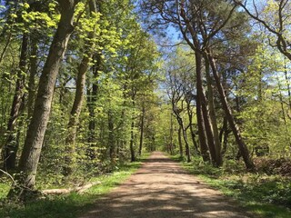 Ferienhaus Frederiksværk  29