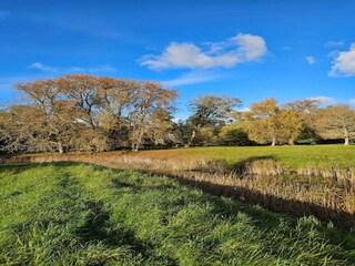 Maison de vacances Frederiksværk  30