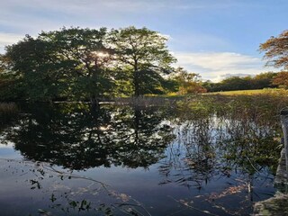 Vakantiehuis Frederiksværk  36