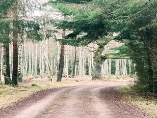 Vakantiehuis Frederiksværk  17