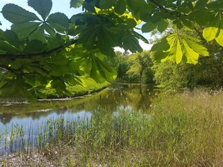Casa per le vacanze Frederiksværk  36