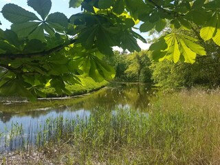 Casa de vacaciones Frederiksværk  36