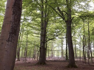 Casa de vacaciones Frederiksværk  19