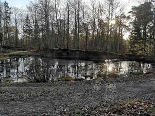 Holiday house Frederiksværk  22