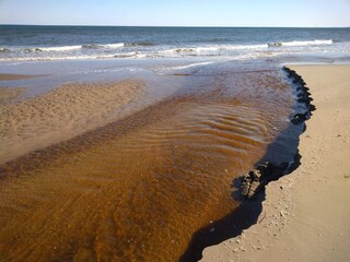 Appartamento Skagen  26