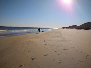 Apartment Skagen  16